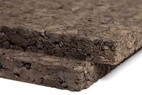  Cork: Un Materiale Sostenibile per Isolamento e Rivestimenti Acustici?