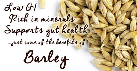  Barley: La Versatilità di un Cereale Millenario per la Produzione di Birra e Alimenti Funzionali!