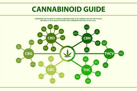 Cannabinoidi: Cosa Sono e Come Vengono Utilizzati nell'Industria Alimentare?