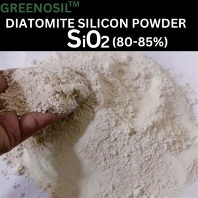  Diatomite: La polvere magica per filtrazione ed isolamento termico?