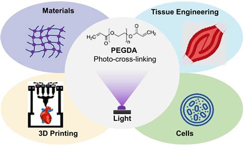 Hexagonene Nanoparticle: Un rivoluzionario materiale per la fabbricazione additiva e l'ingegneria dei tessuti!