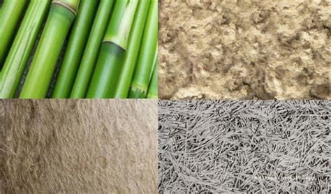  Jute Fiber: Un Esplorando Naturale per Materiali Innovativi e Sostenibili!