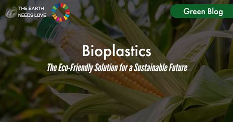 Noodles for Bioplastics: Sustainable and Flavorful Solutions!